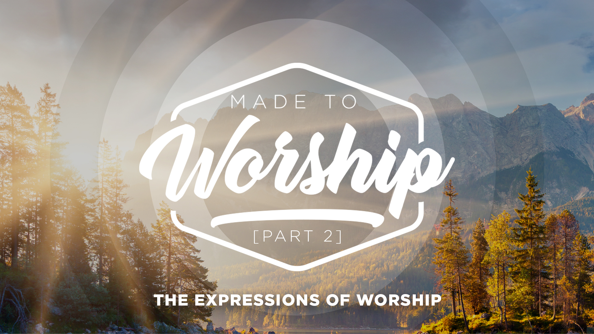 Part 2: The Expressions Of Worship